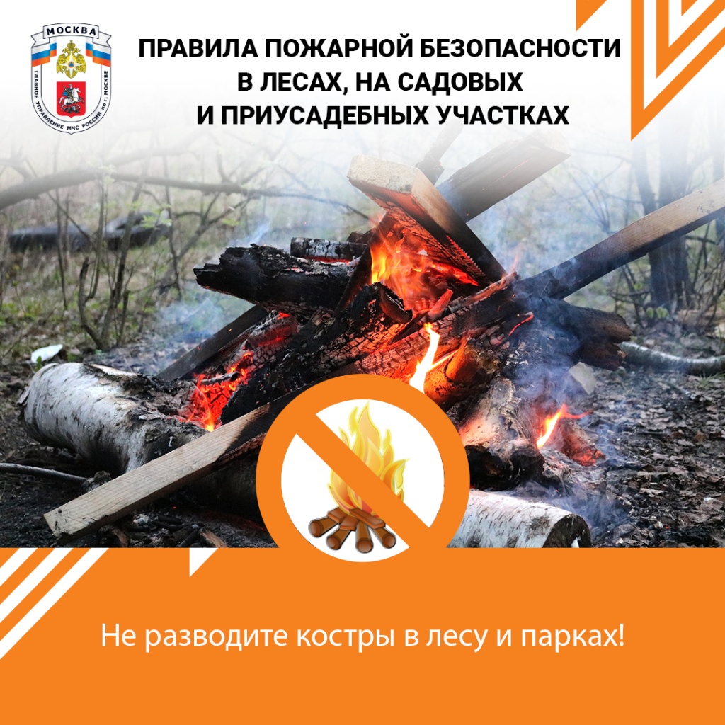 2Лес_дача_соцсети.jpg 2Лес_дача_соцсети.jpg